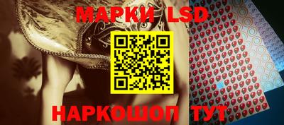 индика Тула