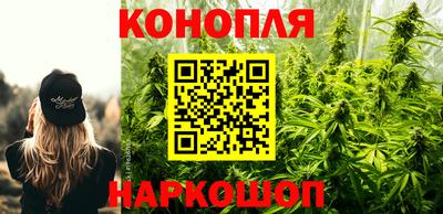 индика Тула