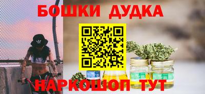 индика Тула