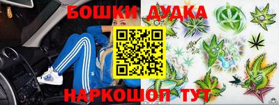 индика Тула