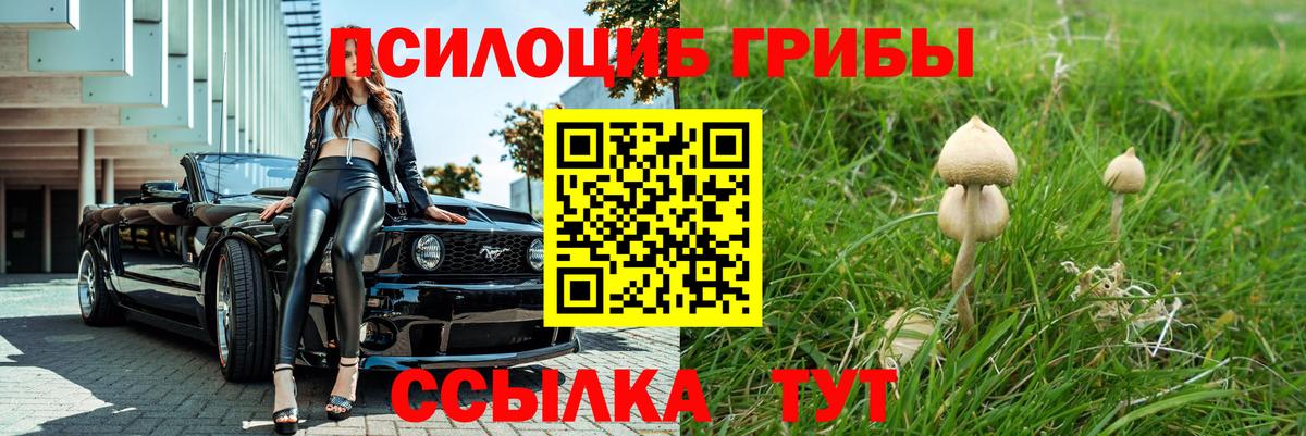 Алатырь  наркотики  Вход с VPN  Псилоцибиновые грибы прущие грибы 